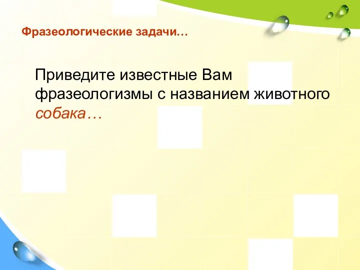 Фразеологические задачи… Приведите известные Вам фразеологизмы с названием животного собака…