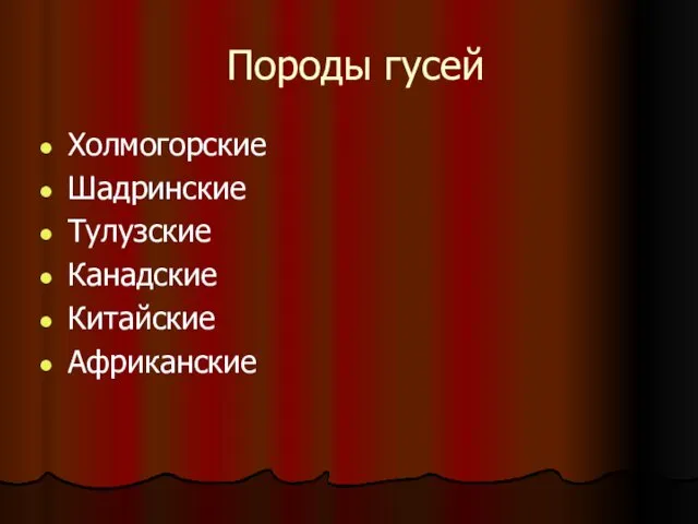 Породы гусей Холмогорские Шадринские Тулузские Канадские Китайские Африканские