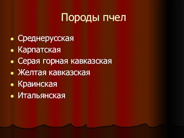 Породы пчел Среднерусская Карпатская Серая горная кавказская Желтая кавказская Краинская Итальянская