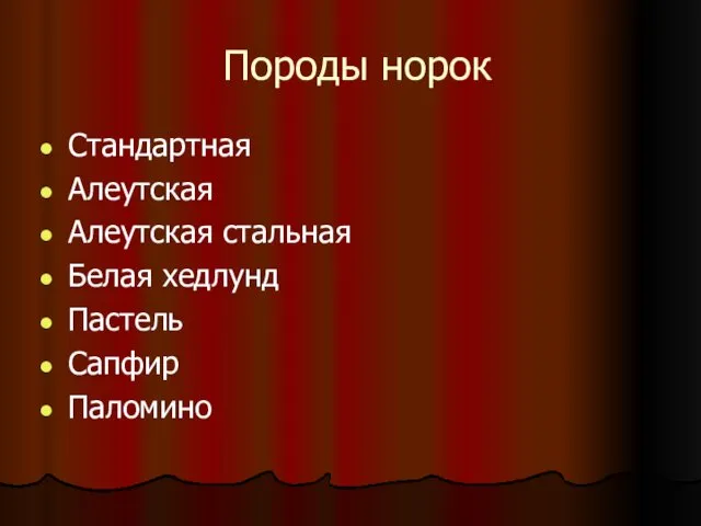 Породы норок Стандартная Алеутская Алеутская стальная Белая хедлунд Пастель Сапфир Паломино