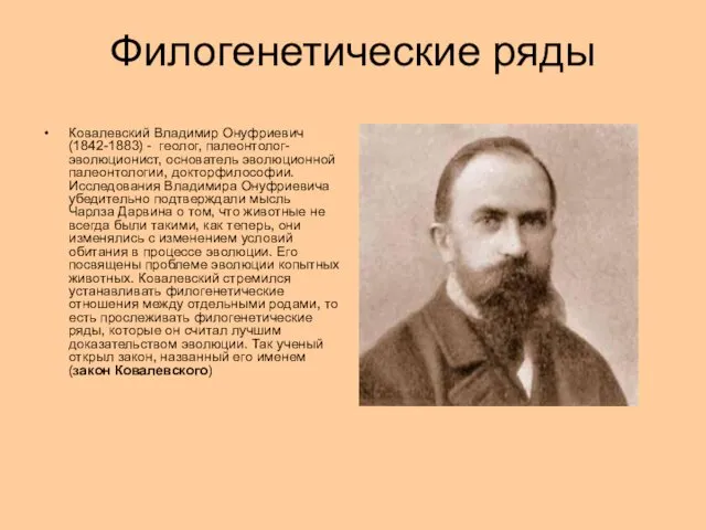 Филогенетические ряды Ковалевский Владимир Онуфриевич(1842-1883) - геолог, палеонтолог-эволюционист, основатель эволюционной