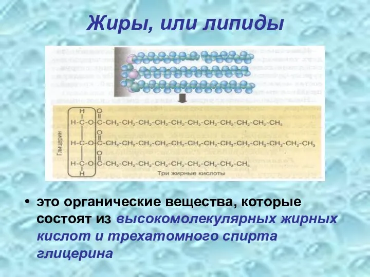 Жиры, или липиды это органические вещества, которые состоят из высокомолекулярных жирных кислот и трехатомного спирта глицерина