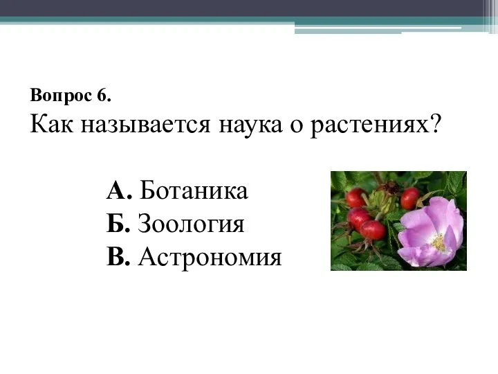 Вопрос 6. Как называется наука о растениях? А. Ботаника Б. Зоология В. Астрономия