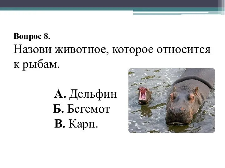 Вопрос 8. Назови животное, которое относится к рыбам. А. Дельфин Б. Бегемот В. Карп.