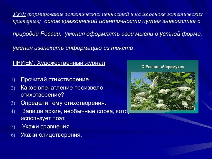 УУД: формирование эстетических ценностей и на их основе эстетических критериев;