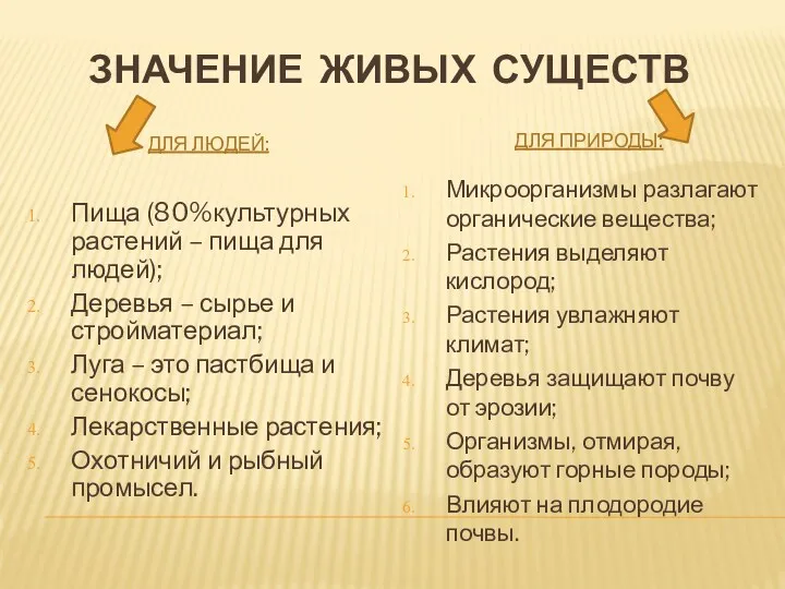 Значение живых существ Для людей: Для природы: Пища (80%культурных растений