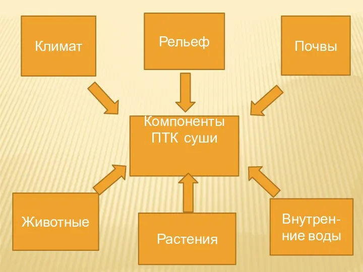 Компоненты ПТК суши Климат Рельеф Почвы Животные Растения Внутрен-ние воды