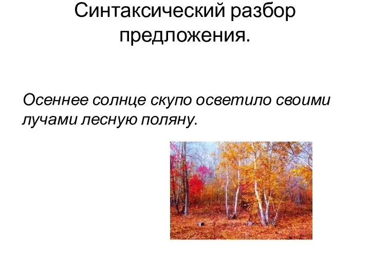 Синтаксический разбор предложения. Осеннее солнце скупо осветило своими лучами лесную поляну.