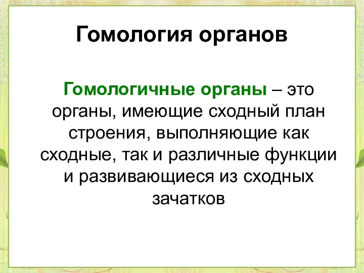 Гомология органов Гомологичные органы – это органы, имеющие сходный план