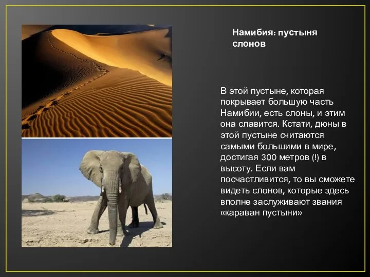 Намибия: пустыня слонов В этой пустыне, которая покрывает большую часть