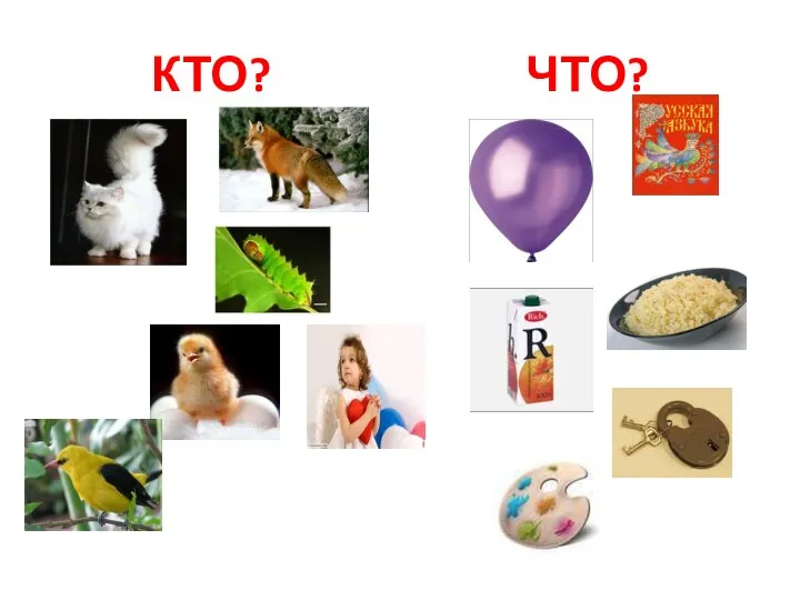 КТО? ЧТО?