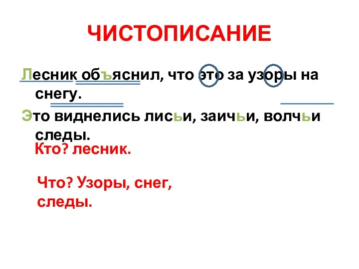 ЧИСТОПИСАНИЕ Лесник объяснил, что это за узоры на снегу. Это виднелись лисьи, заичьи,