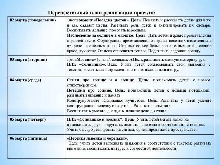 Перспективный план реализации проекта: