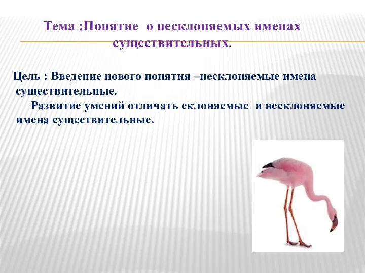 Тема :Понятие о несклоняемых именах существительных. Цель : Введение нового