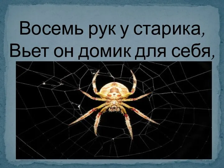 Восемь рук у старика, Вьет он домик для себя, Нити белые кругом, Мухам всем давно знаком.