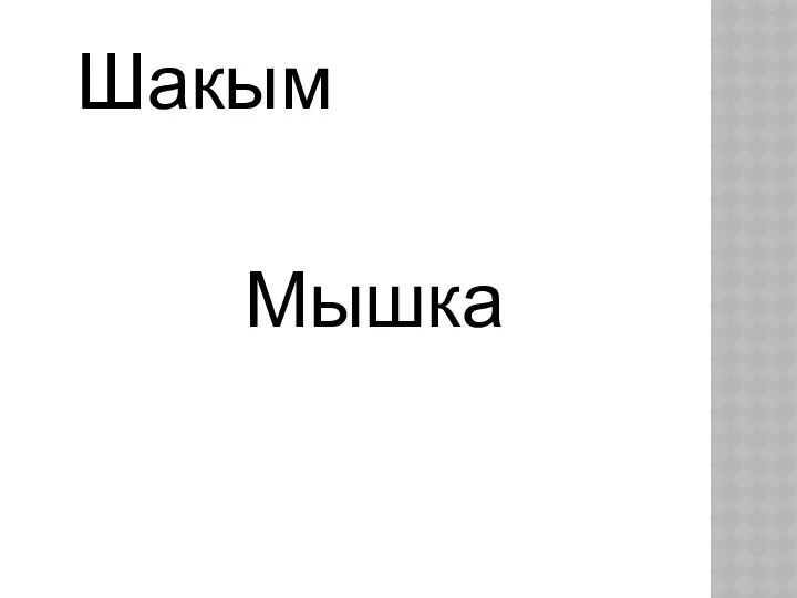 Шакым Мышка