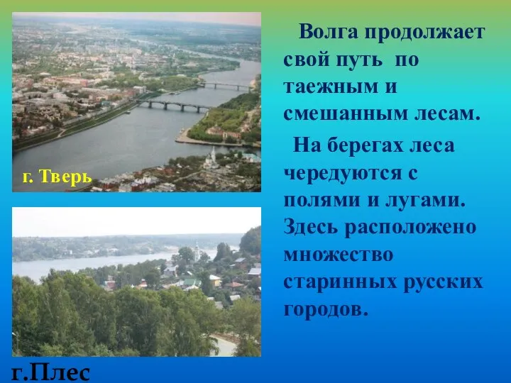 Волга продолжает свой путь по таежным и смешанным лесам. На берегах леса чередуются