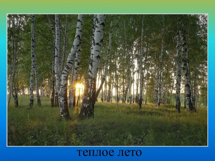 теплое лето