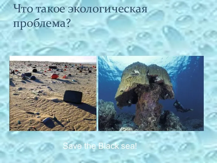 Что такое экологическая проблема? Save the Black sea!