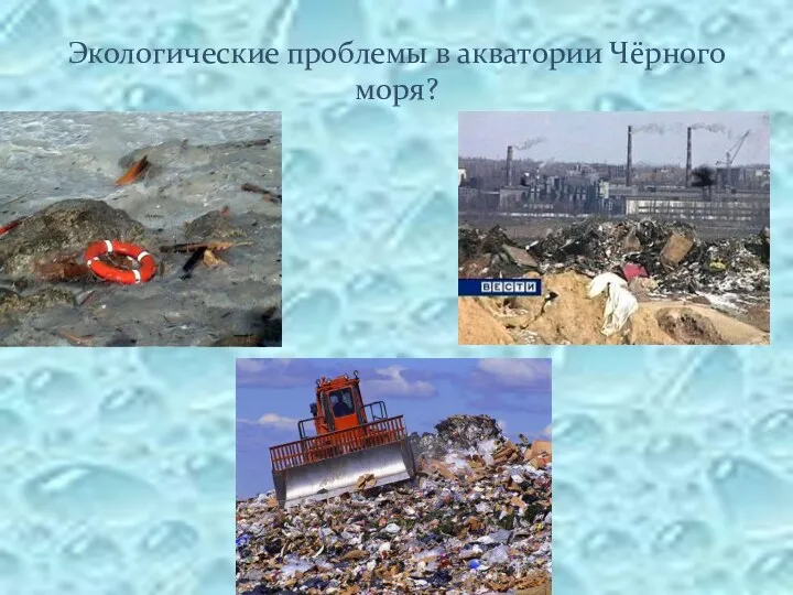 Экологические проблемы в акватории Чёрного моря?