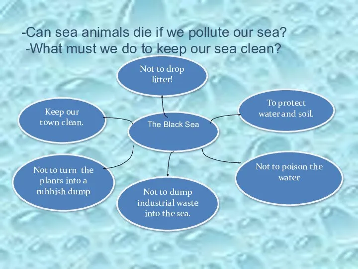 -Can sea animals die if we pollute our sea? -What