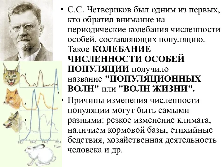 С.С. Четвериков был одним из первых, кто обратил внимание на периодические колебания численности