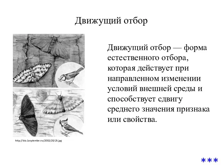 Движущий отбор http://bio.1september.ru/2002/20/25.jpg Движущий отбор — форма естественного отбора, которая действует при направленном