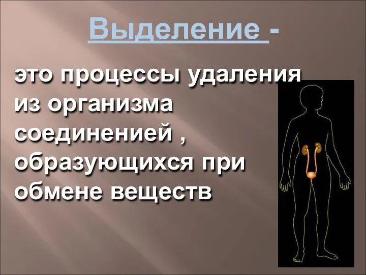 Выделение - это процессы удаления из организма соединенией , образующихся при обмене веществ