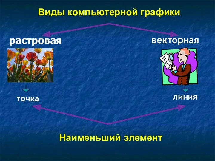 растровая векторная точка линия Виды компьютерной графики Наименьший элемент