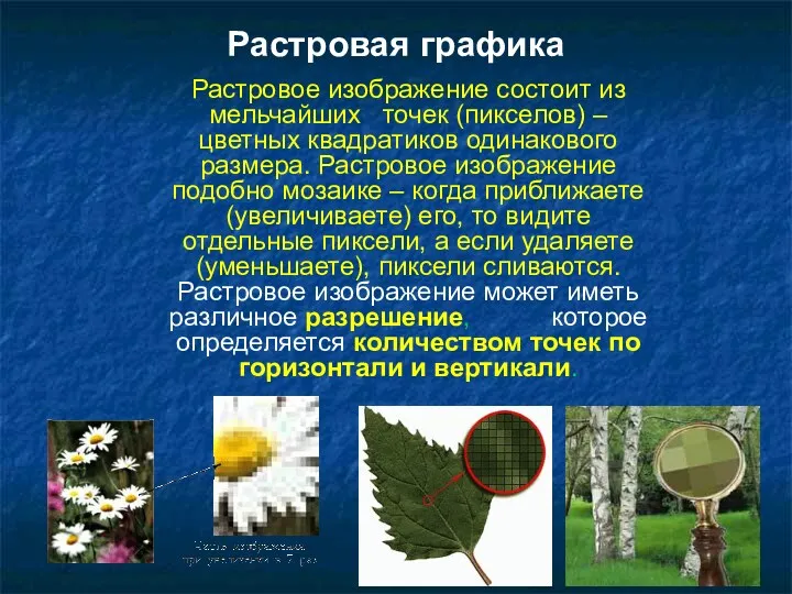 Растровое изображение состоит из мельчайших точек (пикселов) – цветных квадратиков