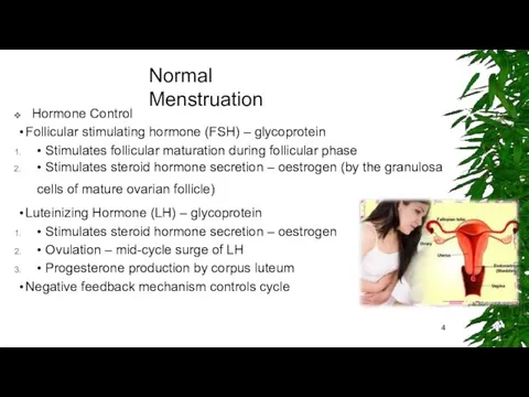 Normal Menstruation Hormone Control Follicular stimulating hormone (FSH) – glycoprotein