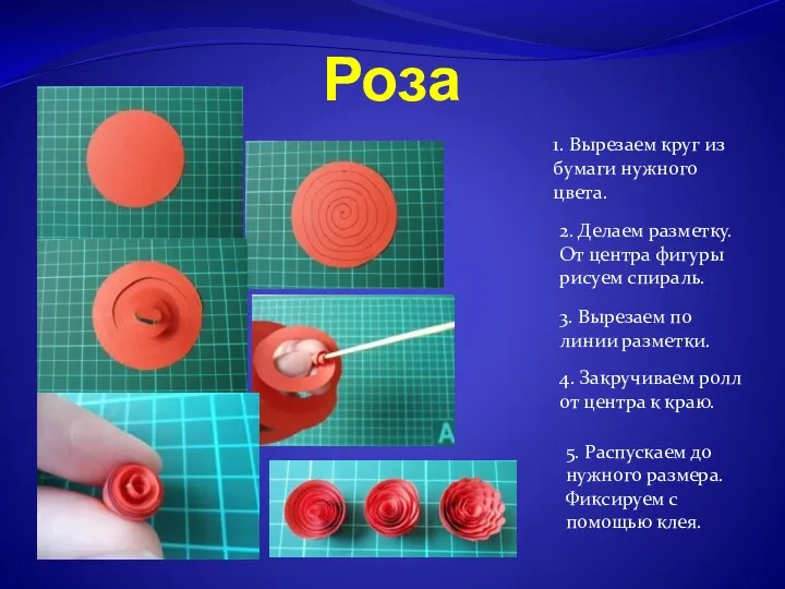 Роза 1. Вырезаем круг из бумаги нужного цвета. 2. Делаем разметку. От центра