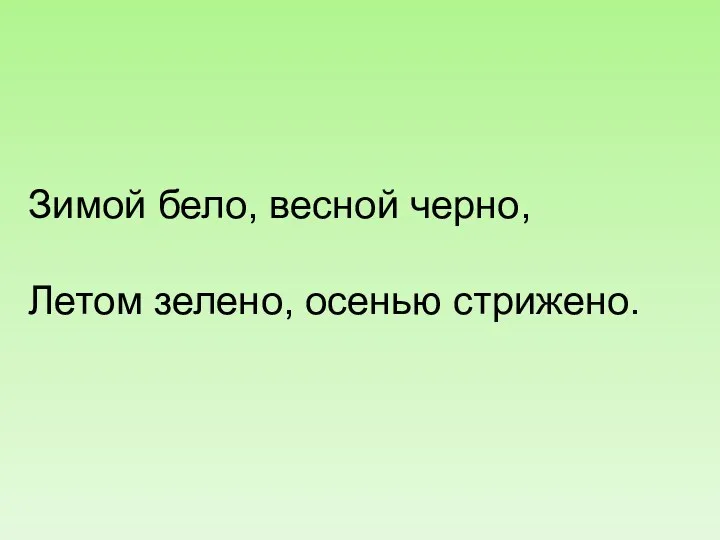 Зимой бело, весной черно, Летом зелено, осенью стрижено.