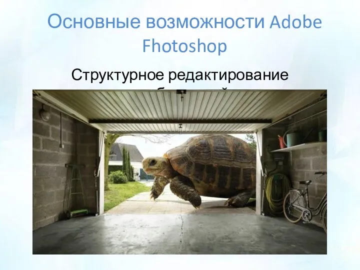 Основные возможности Adobe Fhotoshop Структурное редактирование изображений