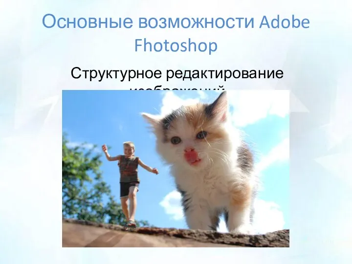 Основные возможности Adobe Fhotoshop Структурное редактирование изображений