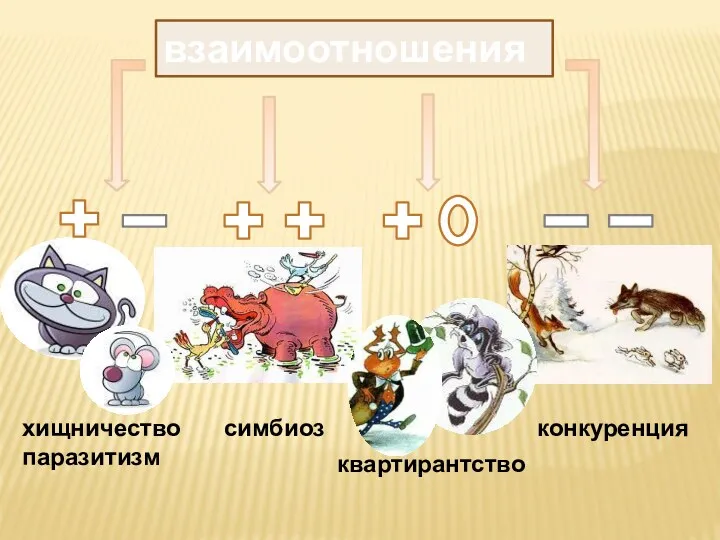 взаимоотношения хищничество паразитизм симбиоз конкуренция квартирантство