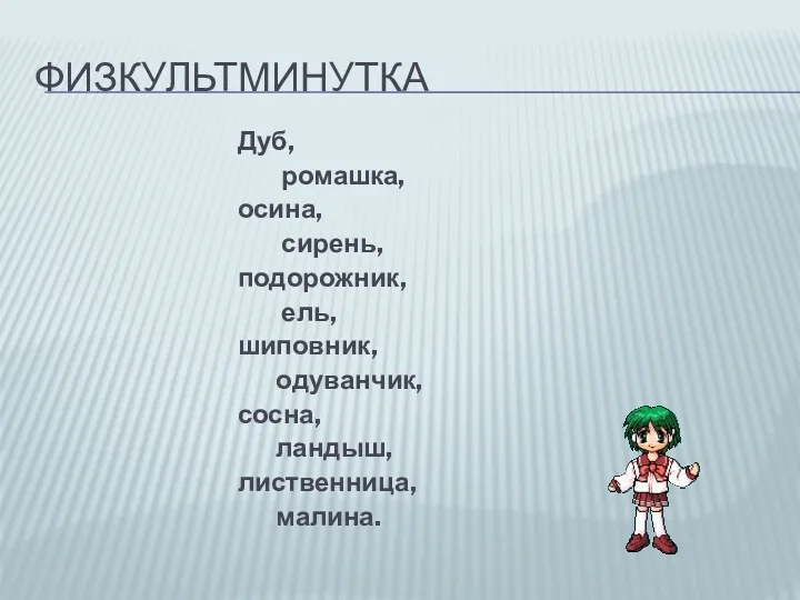 ФИЗКУЛЬТМИНУТКА Дуб, ромашка, осина, сирень, подорожник, ель, шиповник, одуванчик, сосна, ландыш, лиственница, малина.