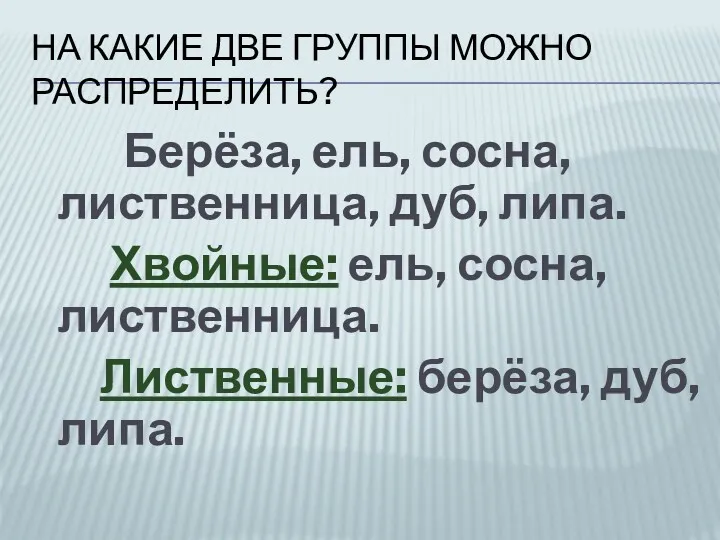 НА КАКИЕ ДВЕ ГРУППЫ МОЖНО РАСПРЕДЕЛИТЬ? Берёза, ель, сосна, лиственница,