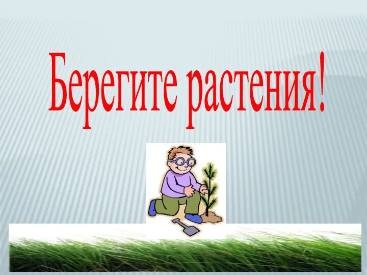 Берегите растения!