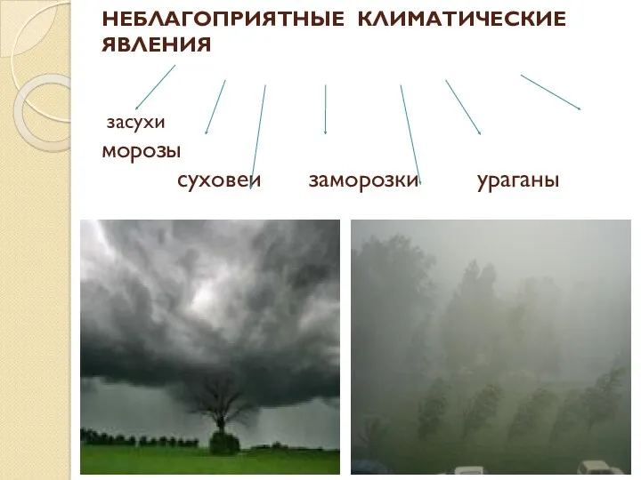 НЕБЛАГОПРИЯТНЫЕ КЛИМАТИЧЕСКИЕ ЯВЛЕНИЯ засухи морозы суховеи заморозки ураганы град гололед