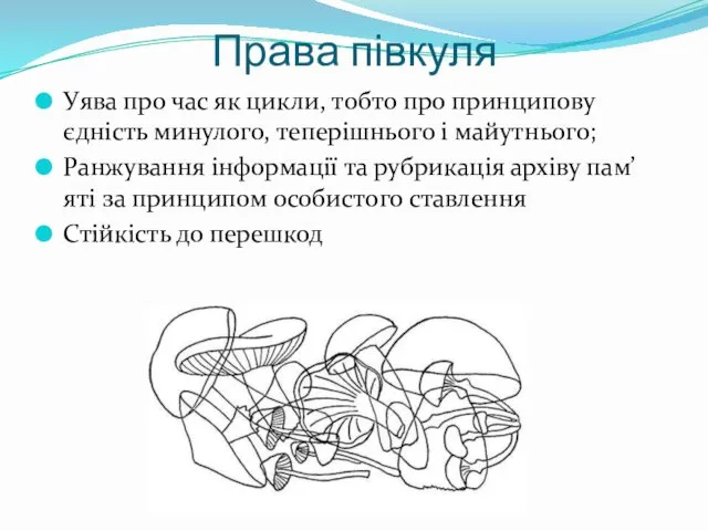 Права півкуля Уява про час як цикли, тобто про принципову