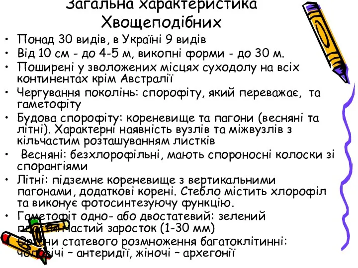 Загальна характеристика Хвощеподібних Понад 30 видів, в Україні 9 видів