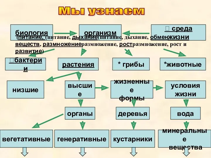 биология организм  среда жизни (питание, (питание, дыхание(питание, дыхание, обмен