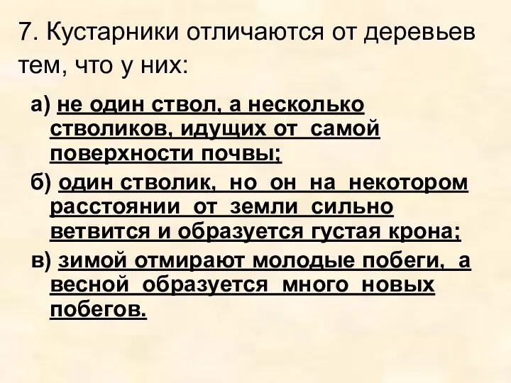 7. Кустарники отличаются от деревьев тем, что у них: а)