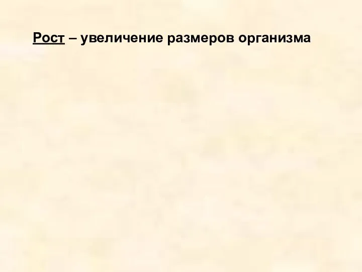 Рост – увеличение размеров организма