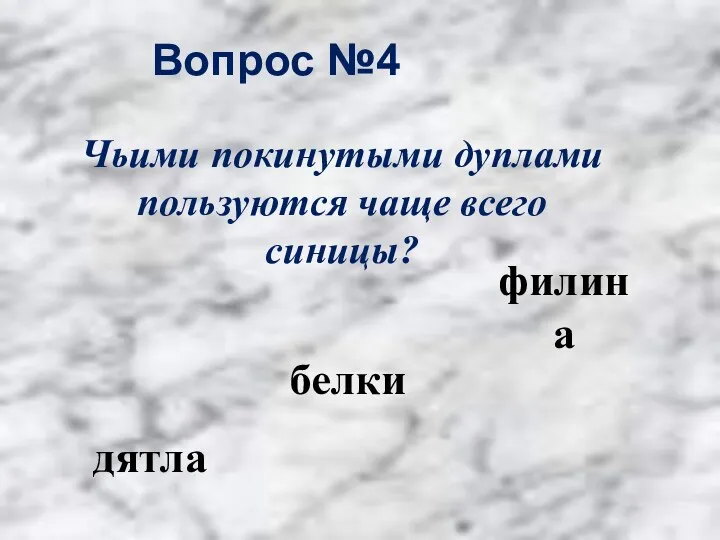 Вопрос №4 дятла белки филина Чьими покинутыми дуплами пользуются чаще всего синицы?