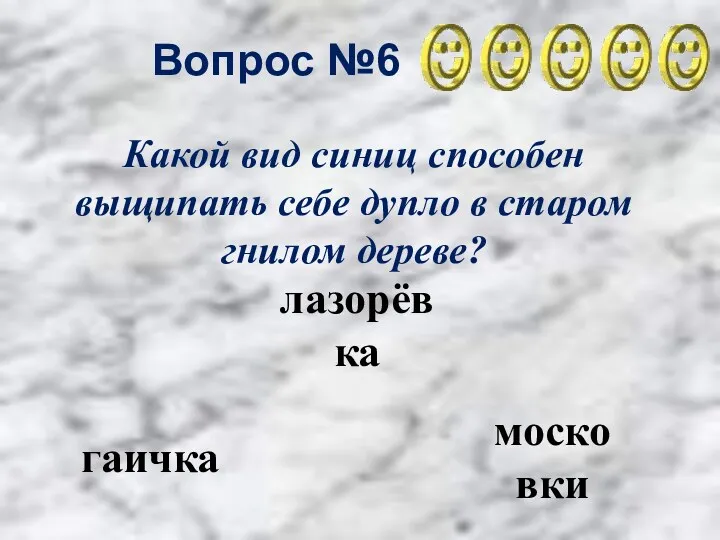 Вопрос №6 гаичка лазорёвка московки Какой вид синиц способен выщипать себе дупло в старом гнилом дереве?