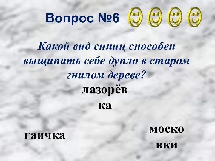 Вопрос №6 гаичка лазорёвка московки Какой вид синиц способен выщипать себе дупло в старом гнилом дереве?