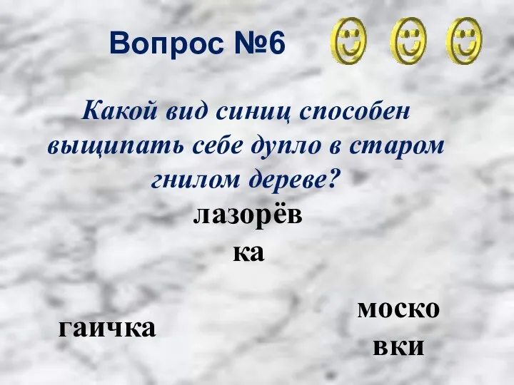 Вопрос №6 гаичка лазорёвка московки Какой вид синиц способен выщипать себе дупло в старом гнилом дереве?