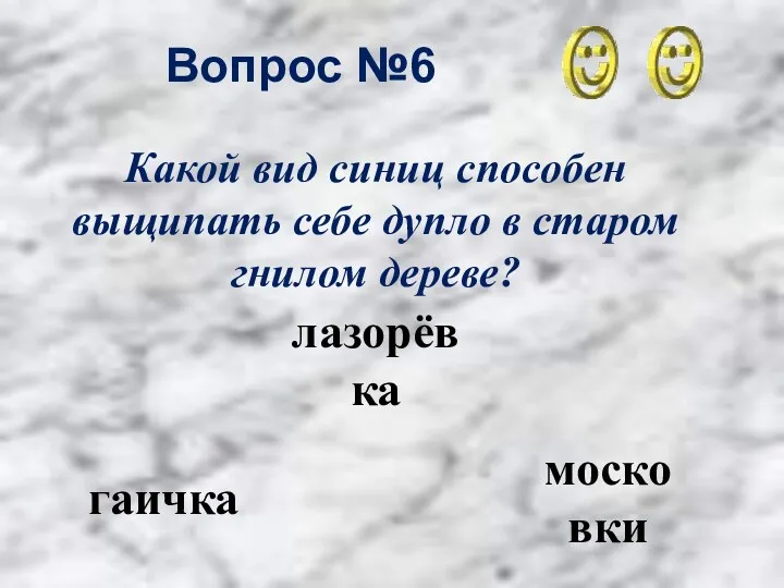 Вопрос №6 гаичка лазорёвка московки Какой вид синиц способен выщипать себе дупло в старом гнилом дереве?